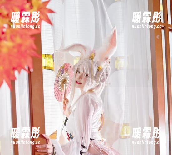 NinJa阿寨寨出击！叛忍捕获图册免费更新中