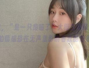 日常图片里，“是一只废喵了”大概在演绎着什么，原图中的情感却在无声里影响着我的想象力。
